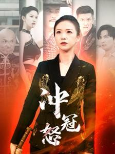 冲冠怒封面图