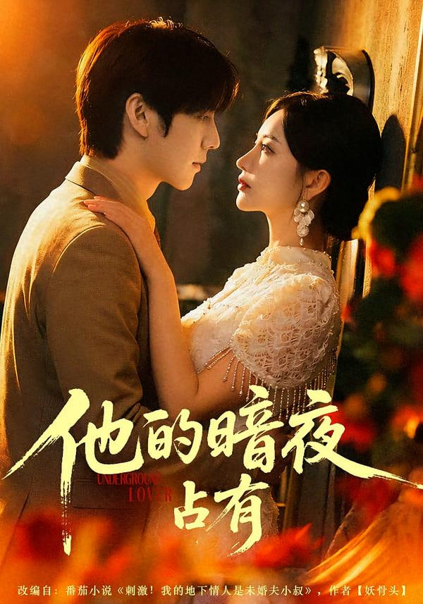 他的暗夜占有封面图